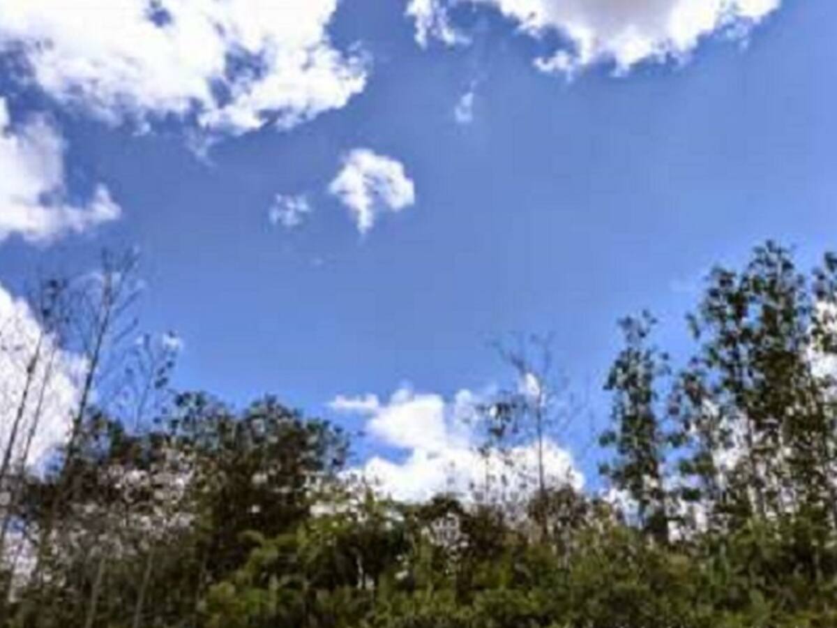 MinAmbiente decidirá si Bogotá participa sobre futuro de la Van Der Hemmen