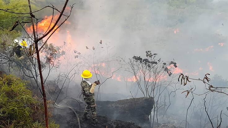 Autoridades siguen en alerta por incendios forestales en Santander