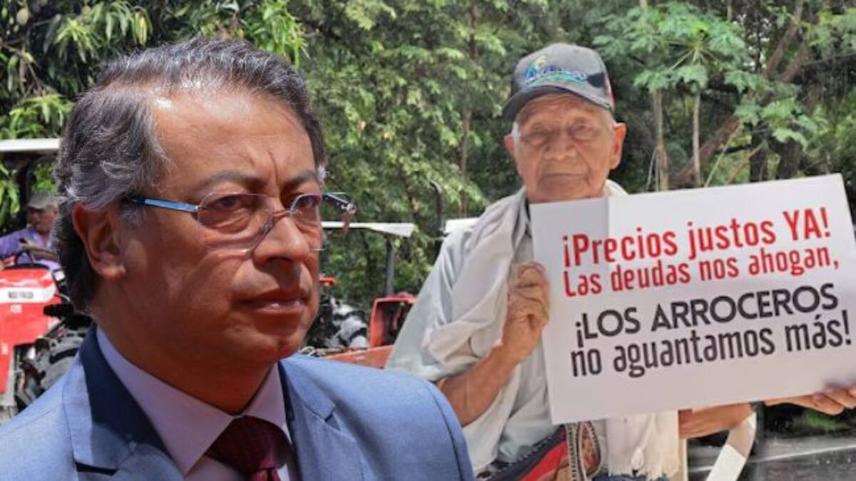 Gobierno y arroceros anuncian reunión 17 de julio para buscar acuerdo que permita levantar el paro