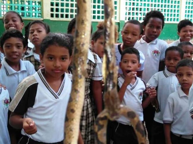 Miedo por aparición de serpientes en un colegio en Cartagena