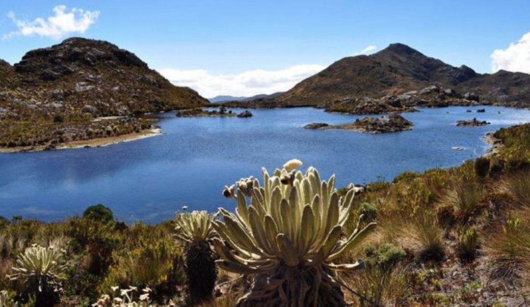 Corponor advierte que no avala nueva intensión de Minesa en el Páramo
