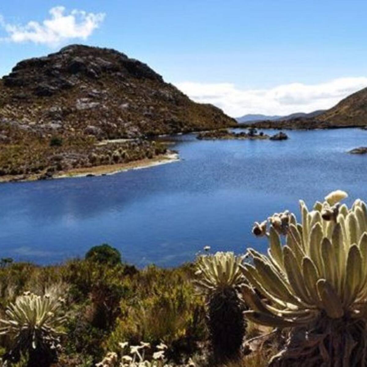 Corponor advierte que no avala nueva intensión de Minesa en el Páramo