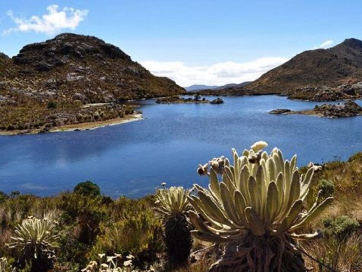 Corponor advierte que no avala nueva intensión de Minesa en el Páramo