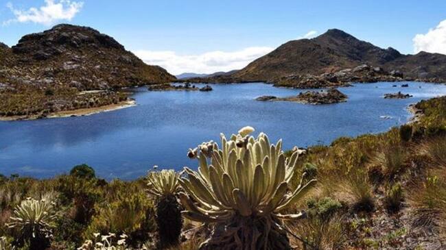 Corponor advierte que no avala nueva intensión de Minesa en el Páramo