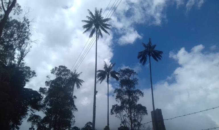 Facebook caracol radio Armenia 1150am línea whatsapp 3155681277 