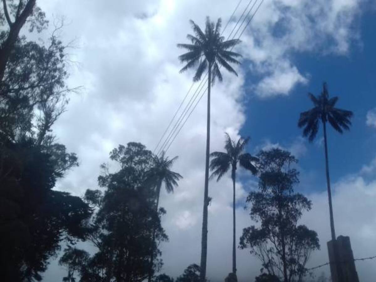 Las noticias más importantes de Armenia y Quindío, jueves 2 de agosto