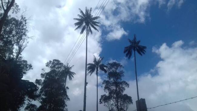 Facebook caracol radio Armenia 1150am línea whatsapp 3155681277