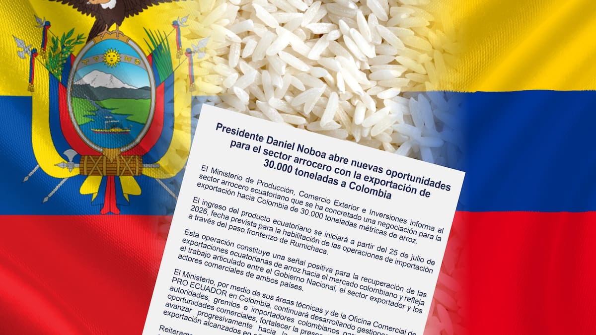 Ecuador exportará 30.000 toneladas de arroz a Colombia el 25 de julio