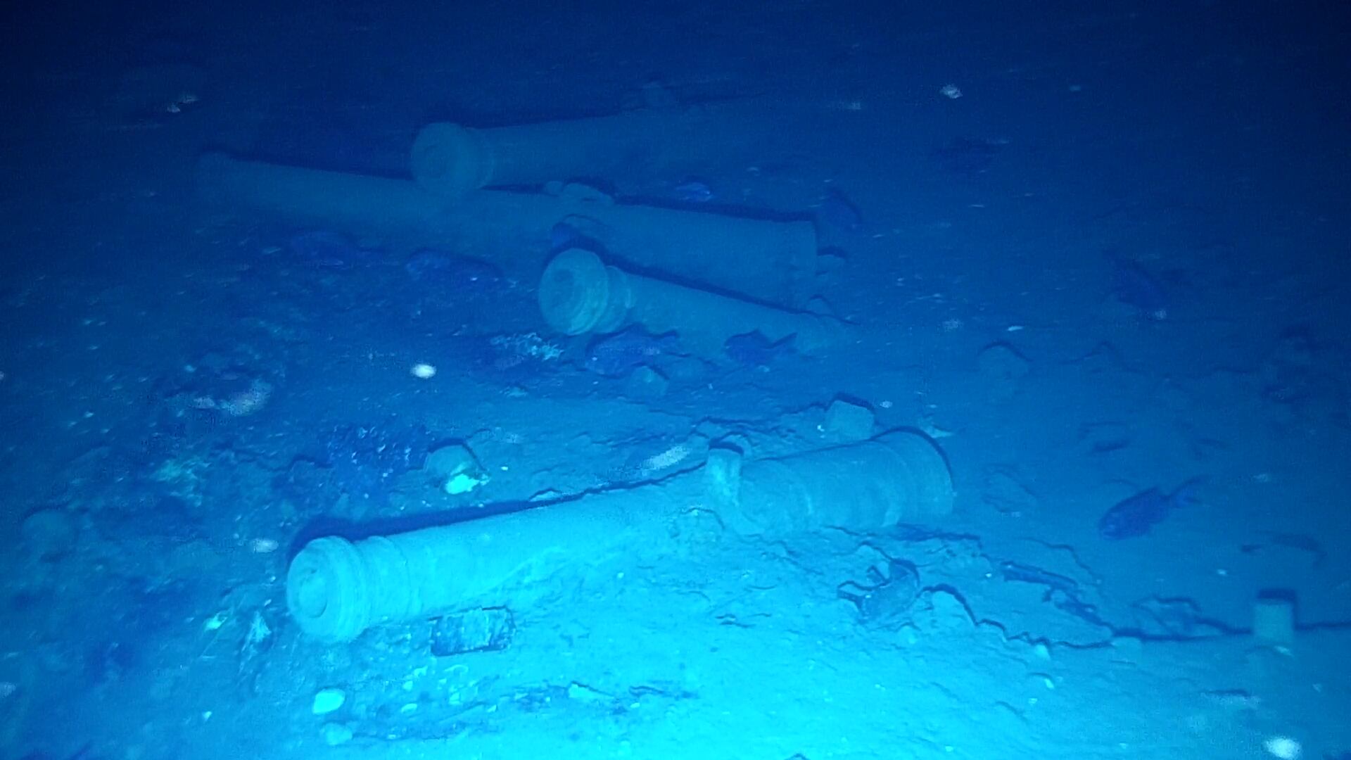 Más de 1.100 objetos han sido identificados en expedición del Galeón San José