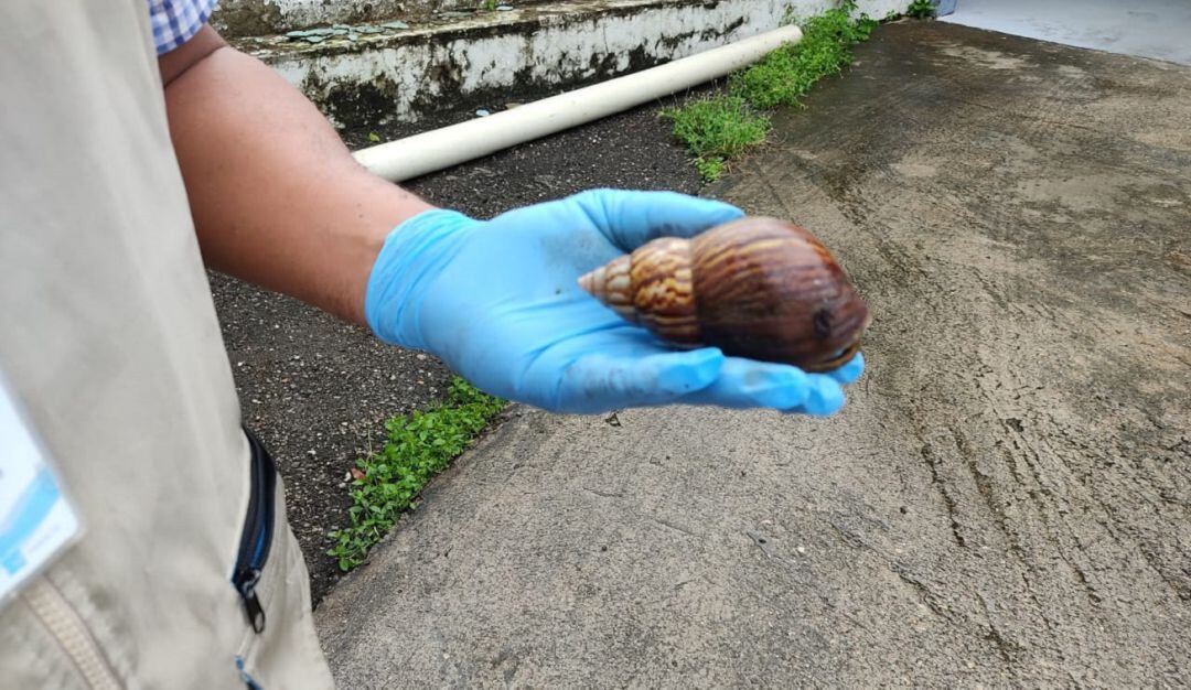 Este año han sido atendidos más de 40 casos en diferentes sectores de la ciudad por la llegada del invierno