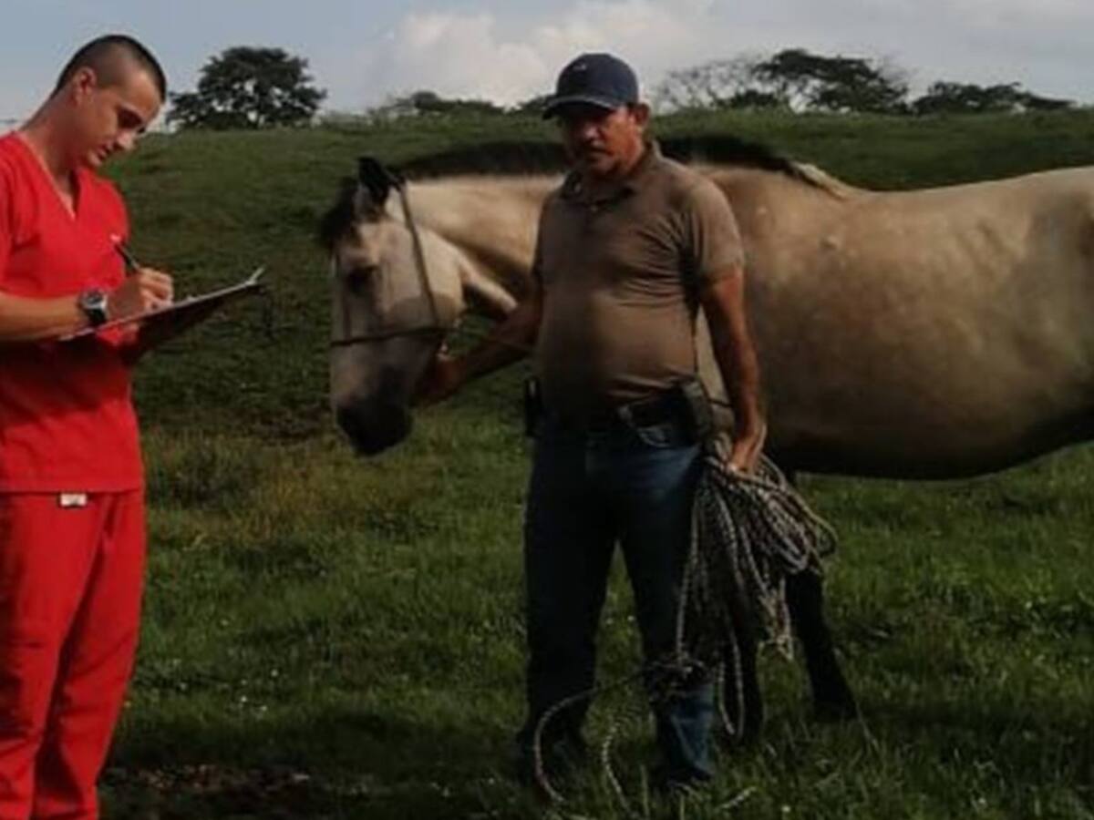Realizan controles a los centros turísticos de Ibagué