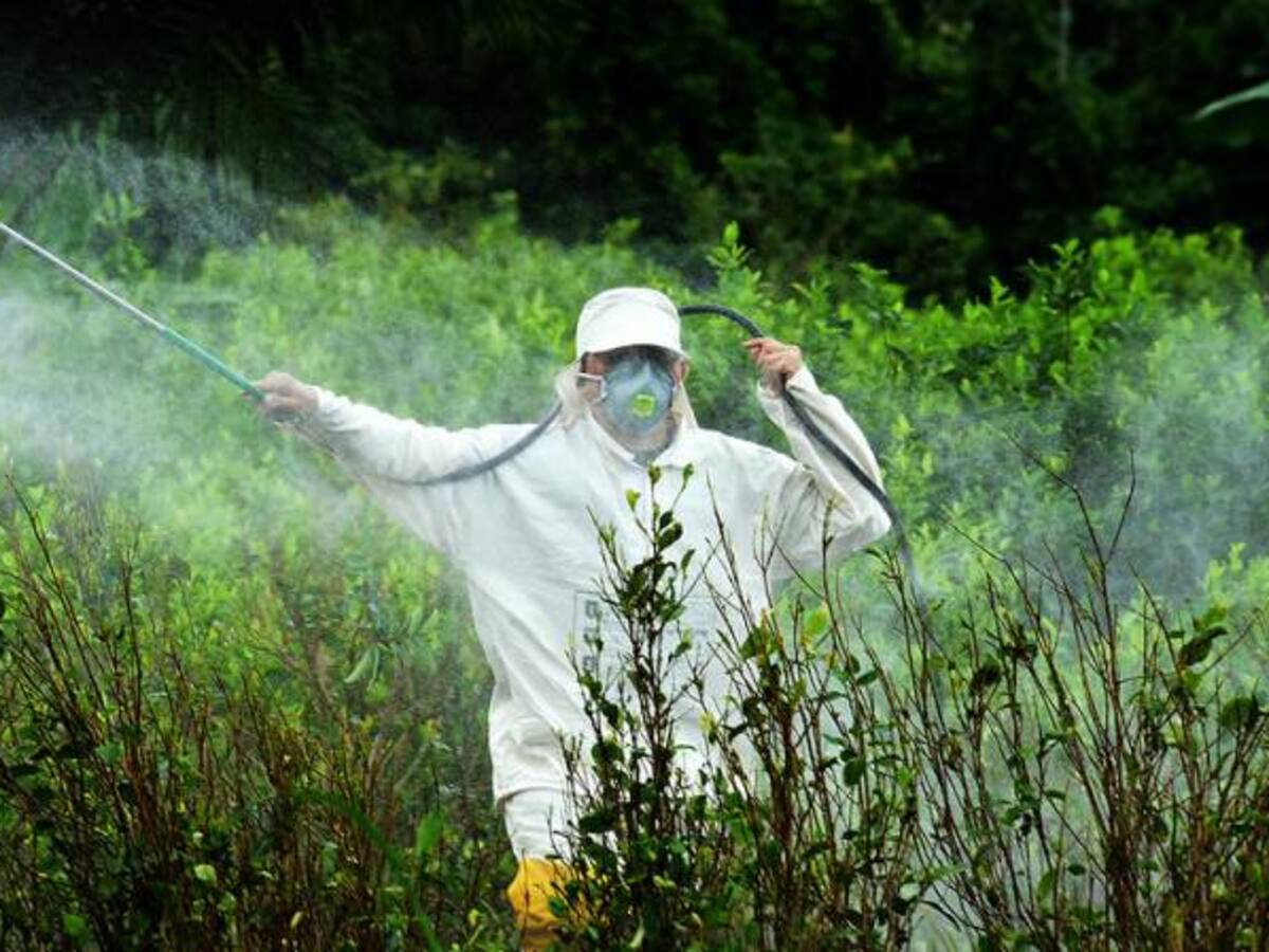 MinAgricultura dice que la política de fumigación aérea fracasó y se tendrá que hacer de manera diferente