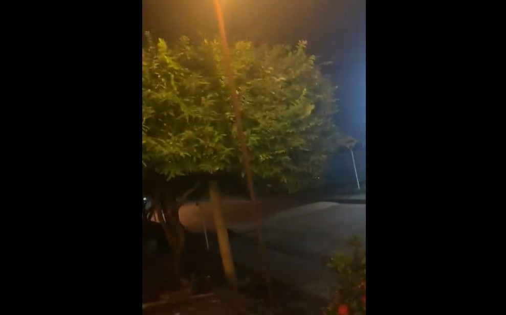 Temblor de magnitud 6,6 Foto: Twitter