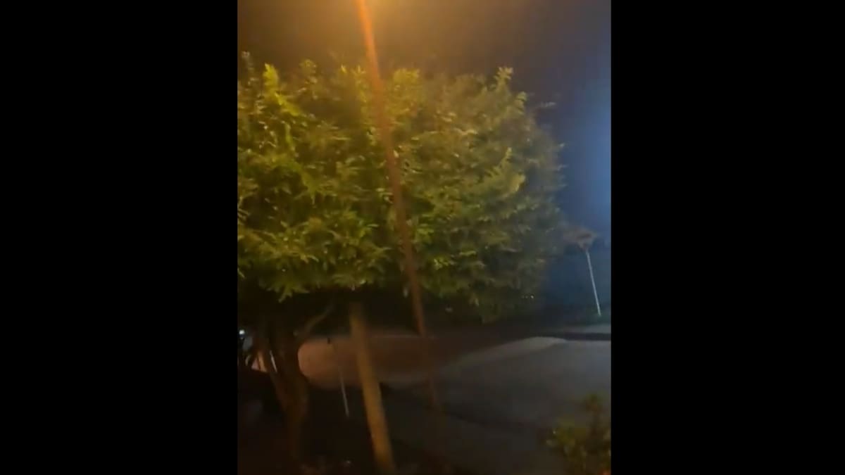 Videos | Así se registró el fuerte sismo de magnitud 6,6 en diferentes regiones del país