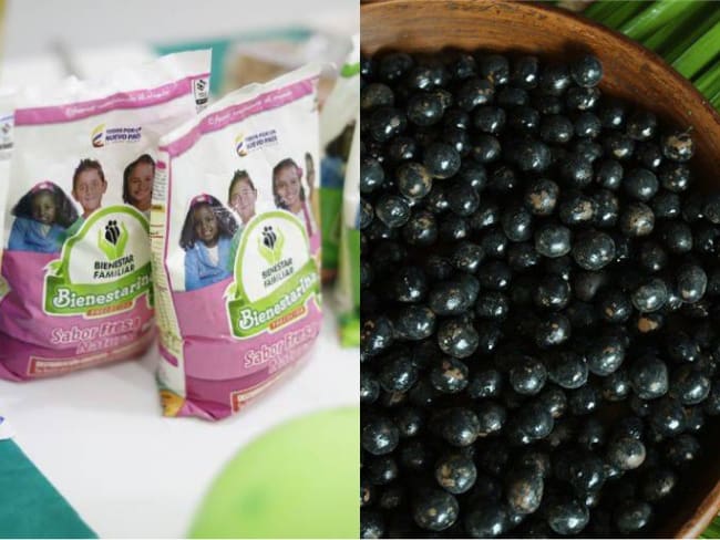 ICBF y el departamento de Guainía trabajan en proyecto de bienestarina con asaí