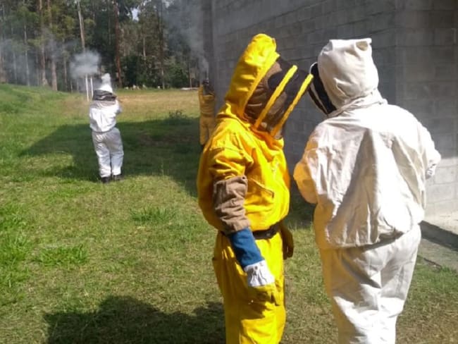 Más de 50 estudiantes fueron picados por abejas