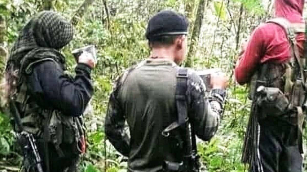 ¿Qué hacer con las disidencias de las Farc en medio de la Paz Total?