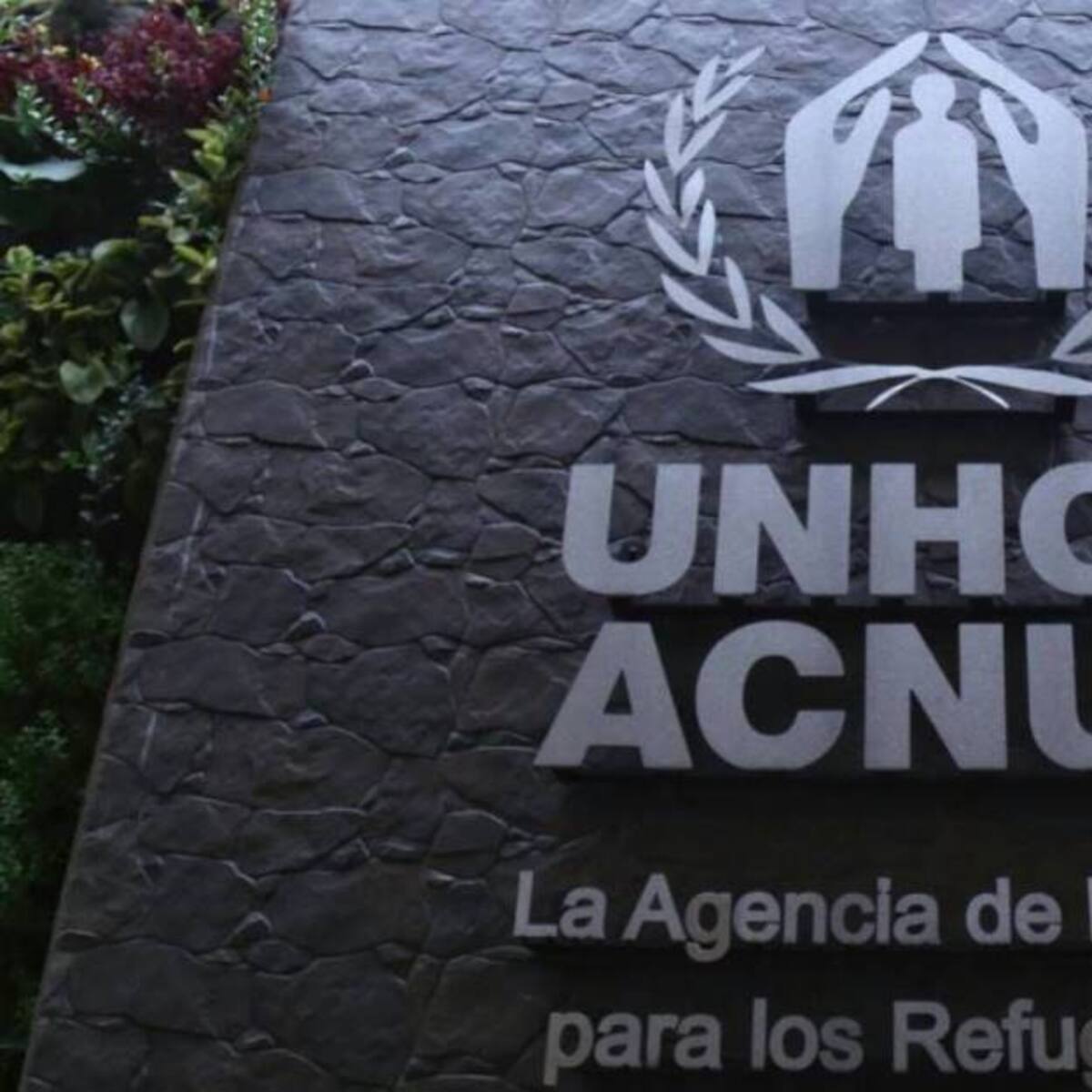 ACNUR aumenta cierre de programas a nivel global por crisis financiera