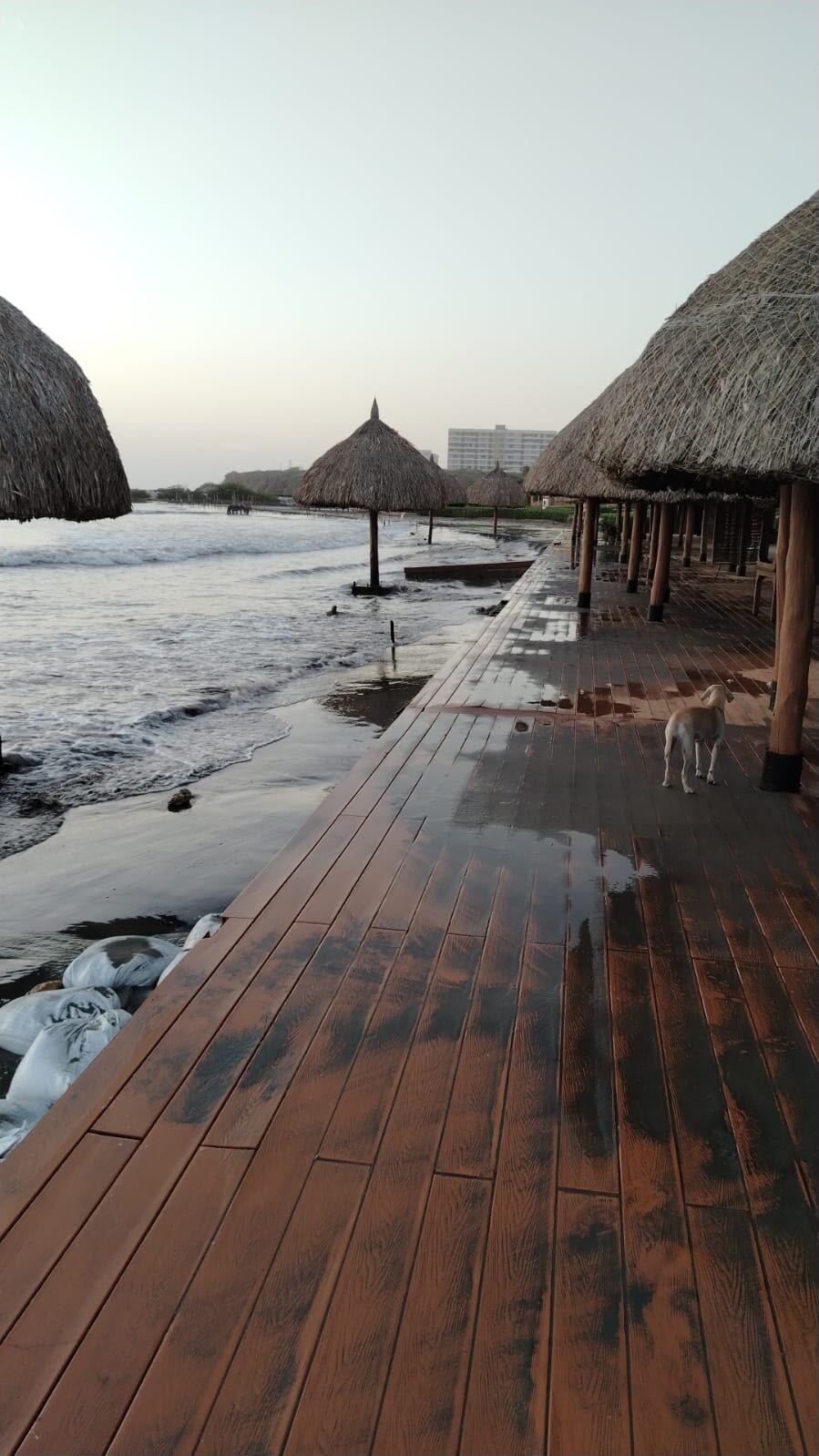 Erosión costera amenaza proyecto turístico de $24 mil millones: “El mar ya llegó a los comedores”
