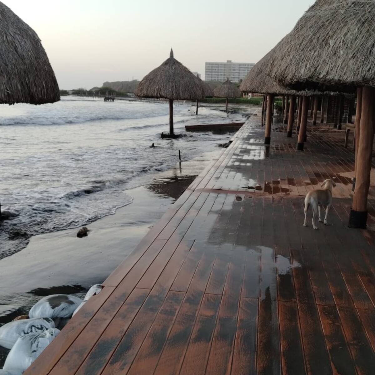 Erosión costera amenaza playas de Sabanilla, en el Atlántico: “El mar ya llegó a los comedores”