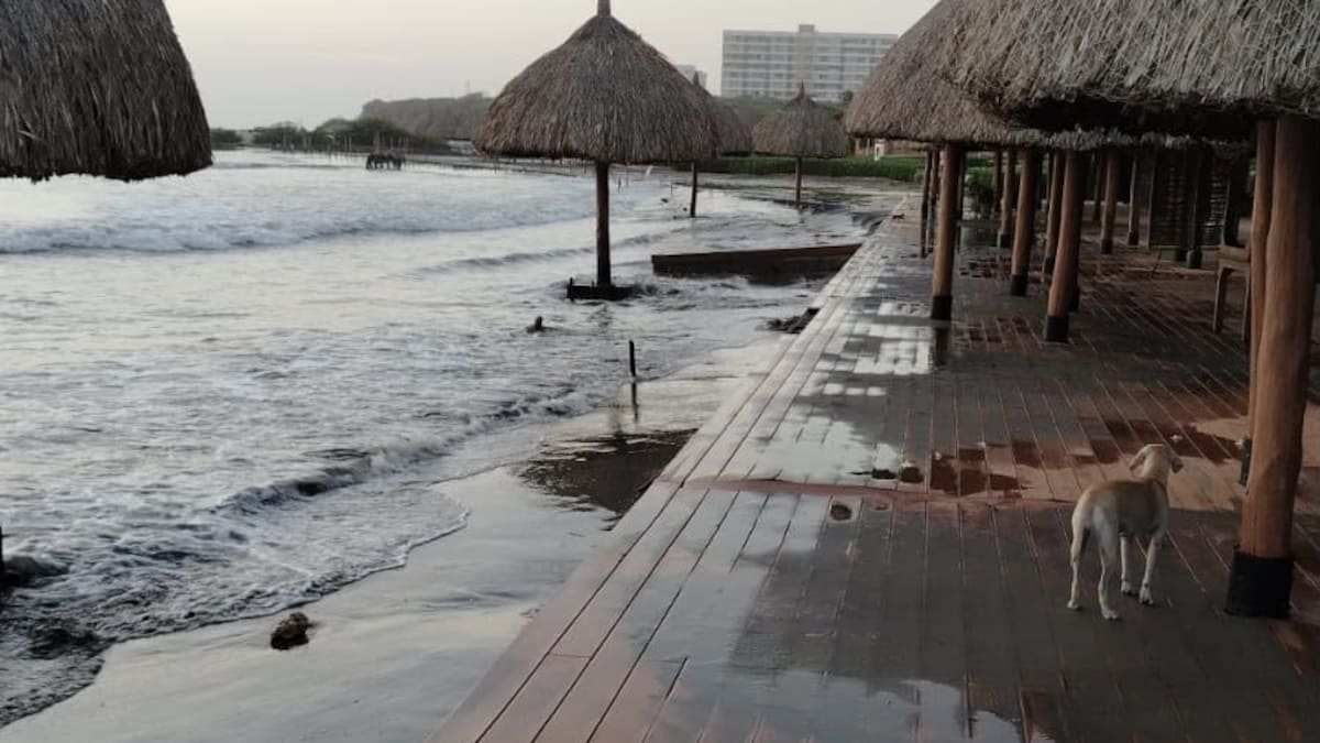 Erosión costera amenaza playas de Sabanilla, en el Atlántico: “El mar ya llegó a los comedores”