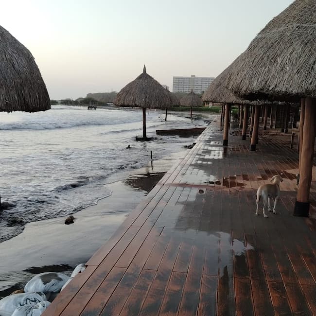 Erosión costera amenaza proyecto turístico de $24 mil millones: “El mar ya llegó a los comedores”