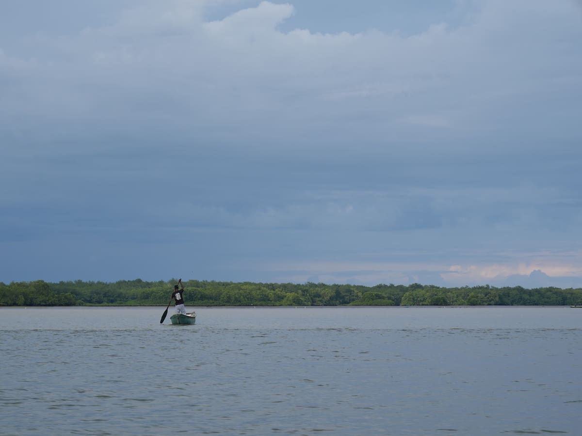 Colombia se sumó al llamado global por la protección de los océanos