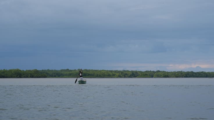 Colombia se sumó al llamado global por la protección de los océanos
