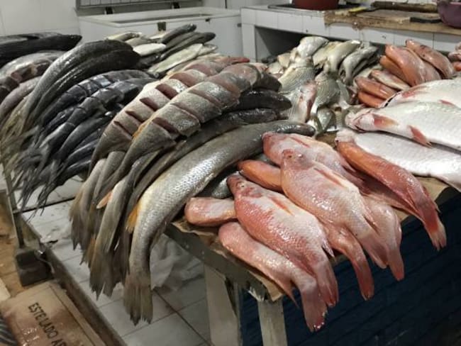 Por lo menos 10 mil toneladas de pescado entran de manera ilegal desde Venezuela a Colombia.