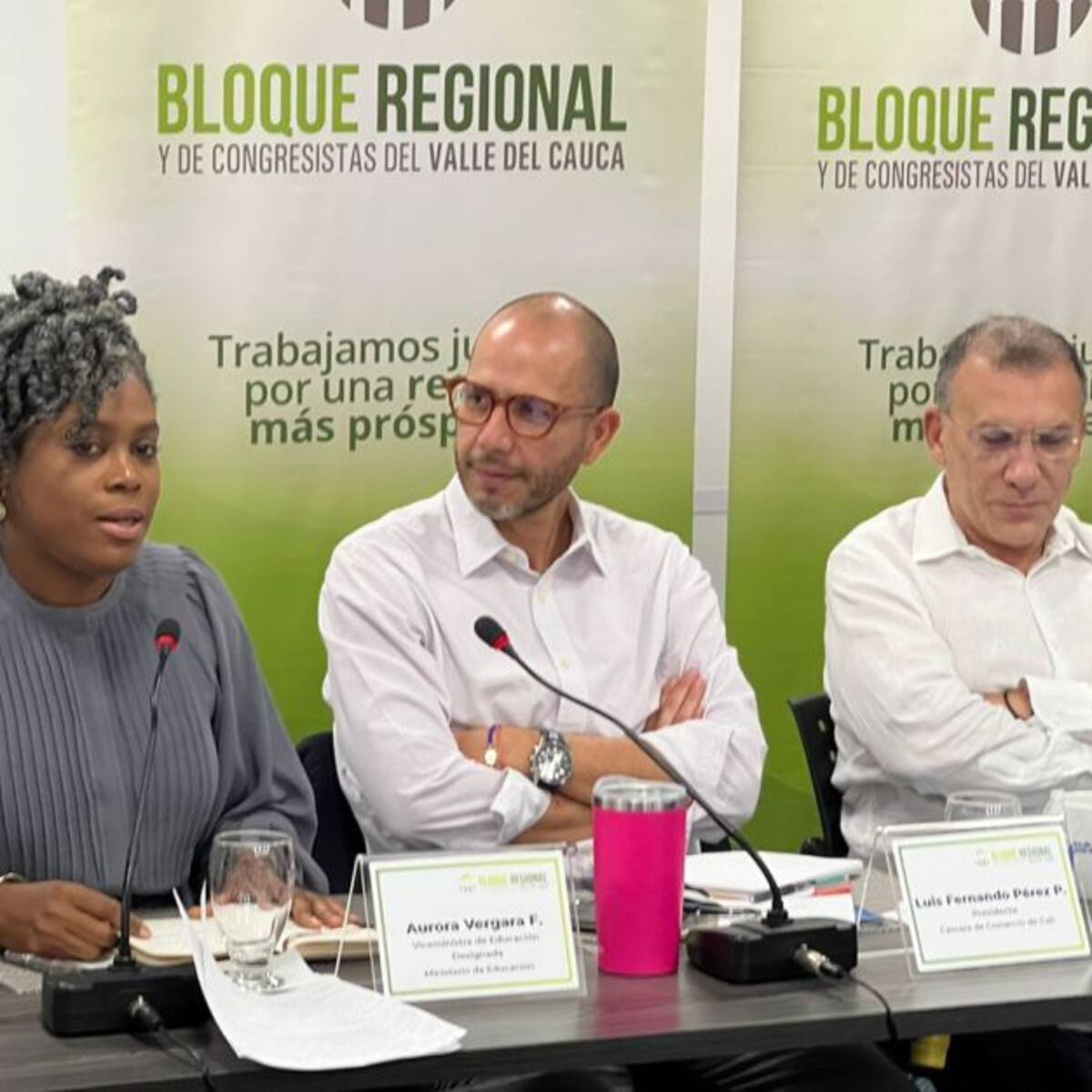 Aurora Vergara viceministra de Educación