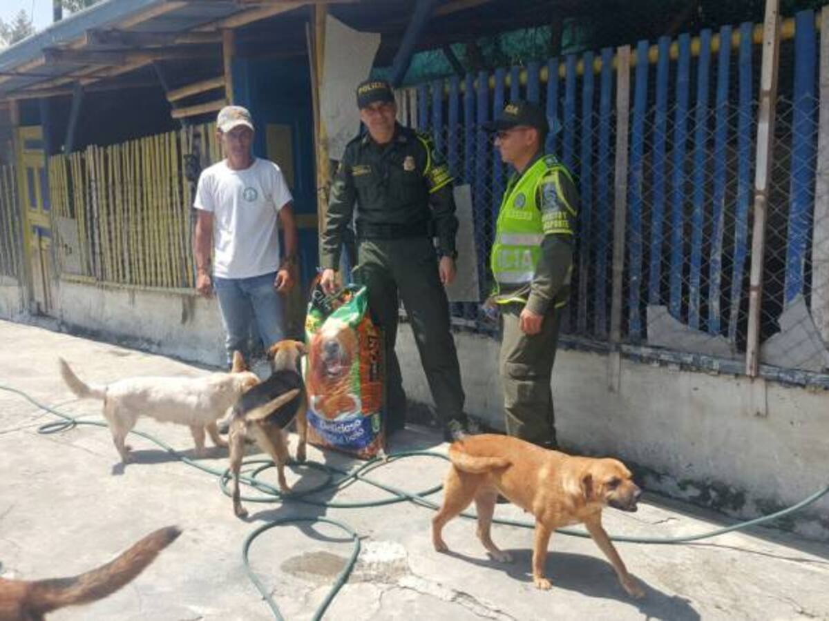 Policías de tránsito contribuyen a cuidado de los animales