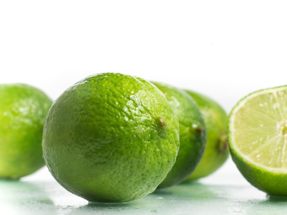 Campesinos del Huila le apuestan a los cultivos de limón Tahití para exportación