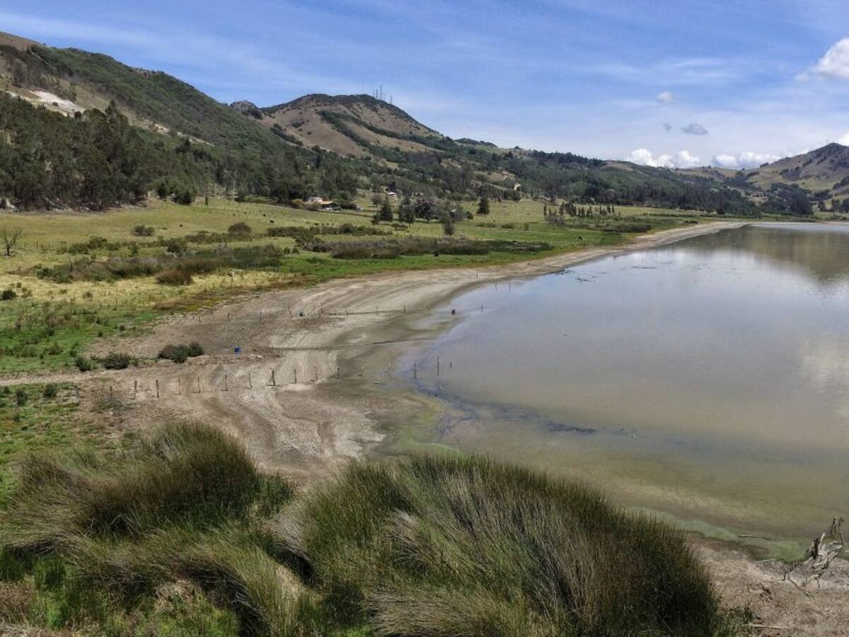Gobernación de Cundinamarca lidera acciones para salvar laguna de Suesca