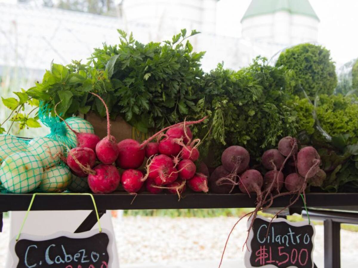 Mercado campesino en Faguafest este fin de semana en Chía