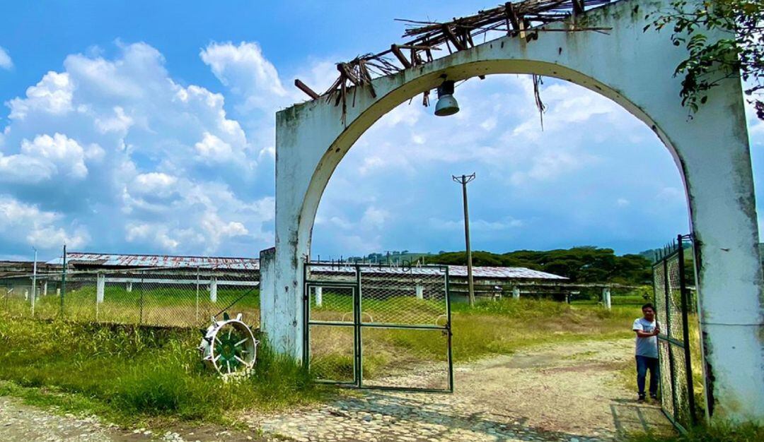 El predio, que se localiza a cerca de 7 kilómetros de la cabecera municipal de Palmira, cuenta con suelos profundos, productivos y de fácil labor agrícola. 