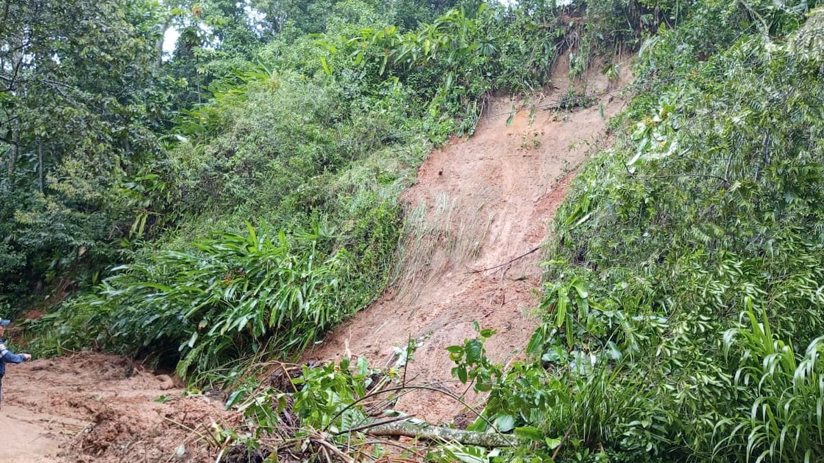Dario Bedoya de la veeduría cordillerana del Quindío