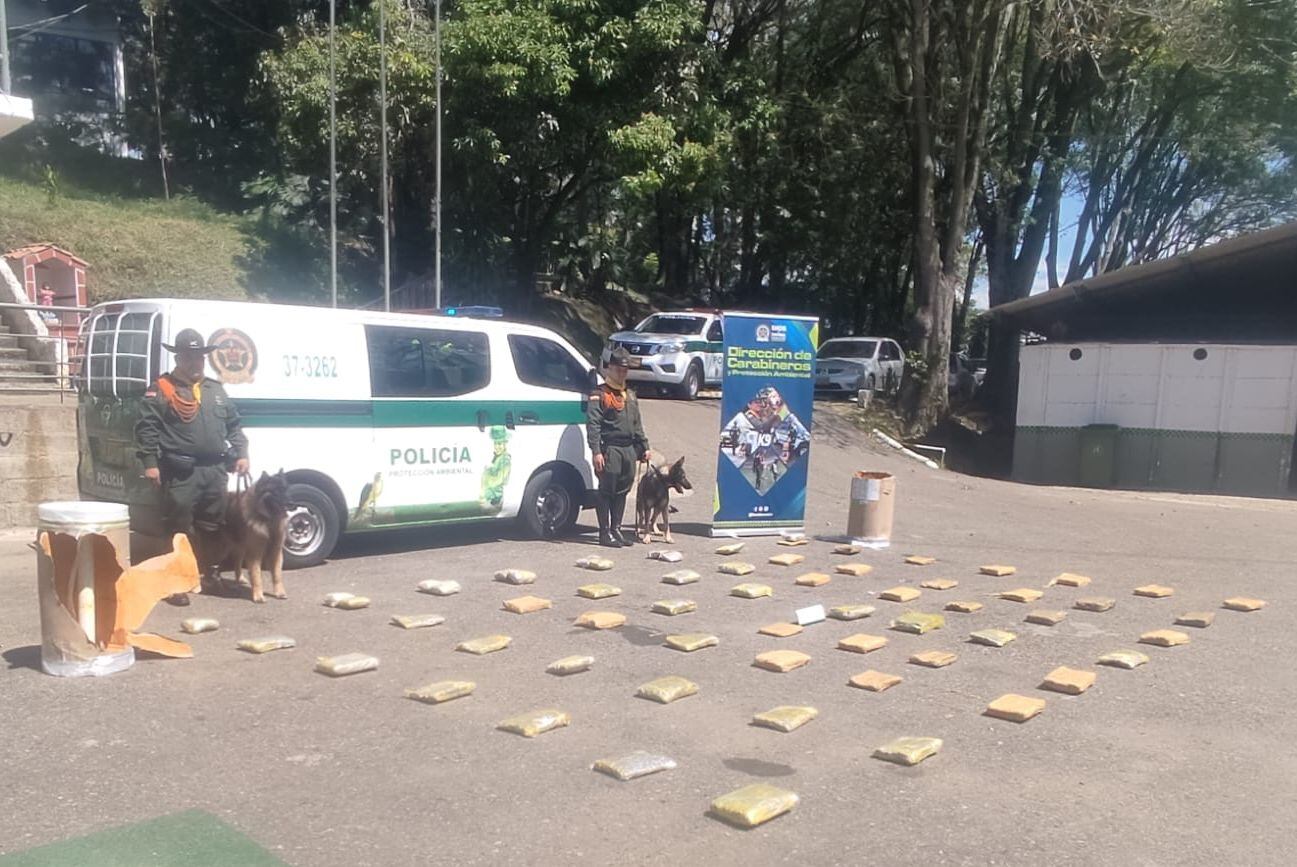 La policía incautó 50 kilos de marihuana camuflada en una encomienda en Medellín. Cortesía: Policía Nacional