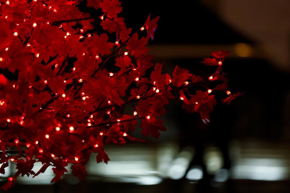 La capital del país ya está lista para la época de fin de año con sus diferentes luces y decoraciones por todas las calles de la ciudad.