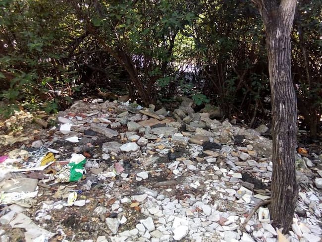 En Cartagena, manglares de Manga se convirtieron en basurero