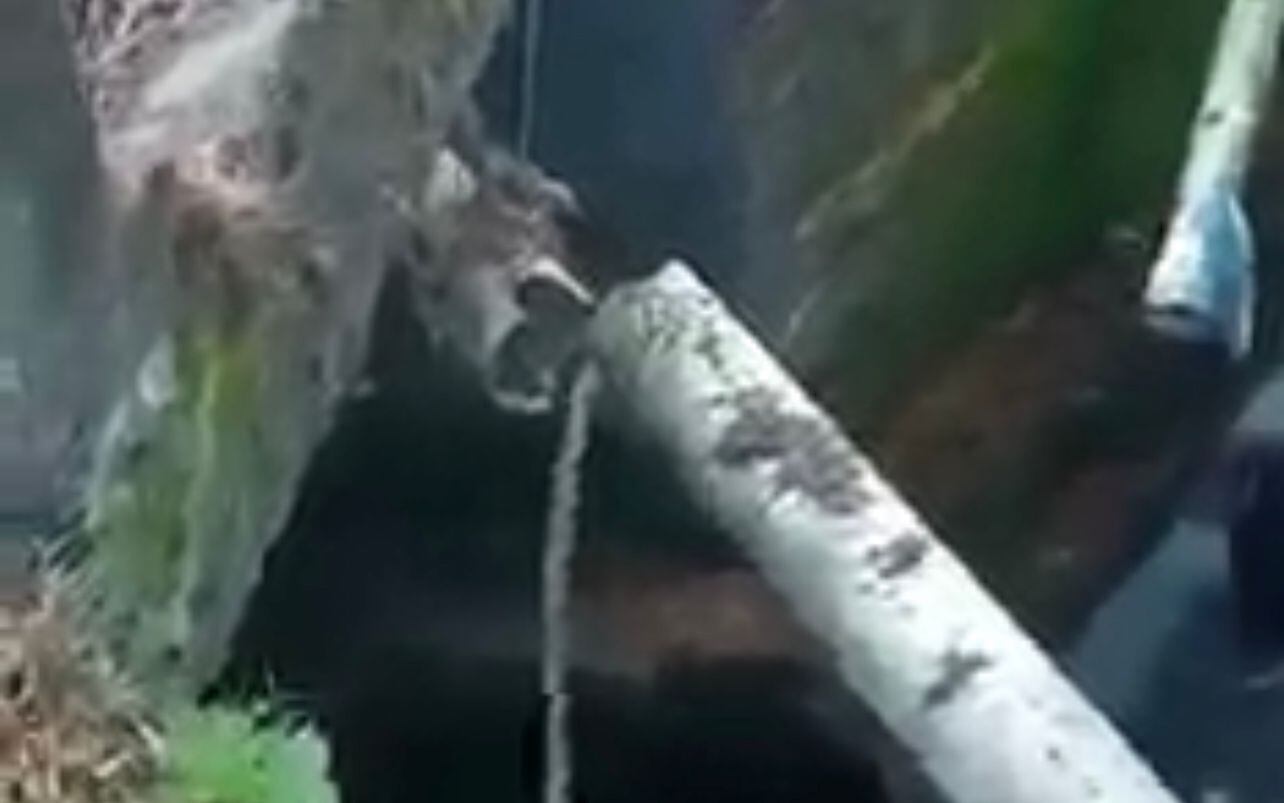 Afectadas más de 25 personas en el municipio de Piendamó