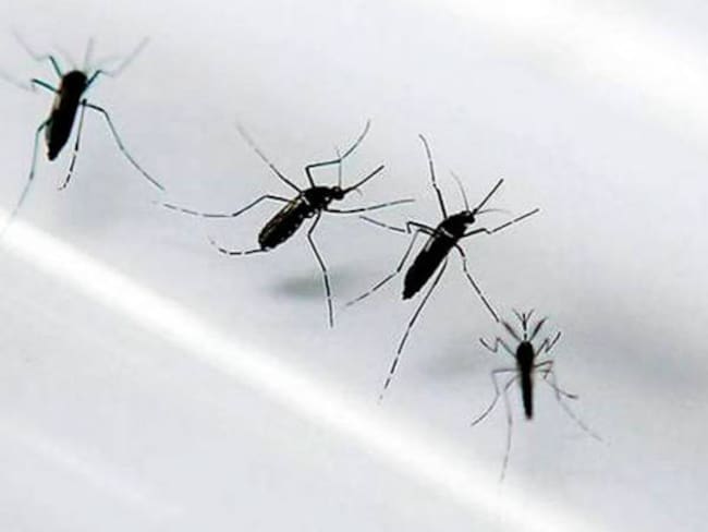 Descartan 16 casos de Microcefalia por zika en el país
