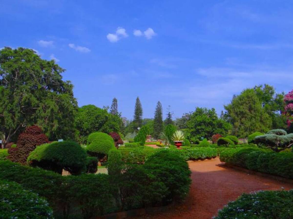 Buscan rescatar el Jardín Botánico de Tunja, Boyacá