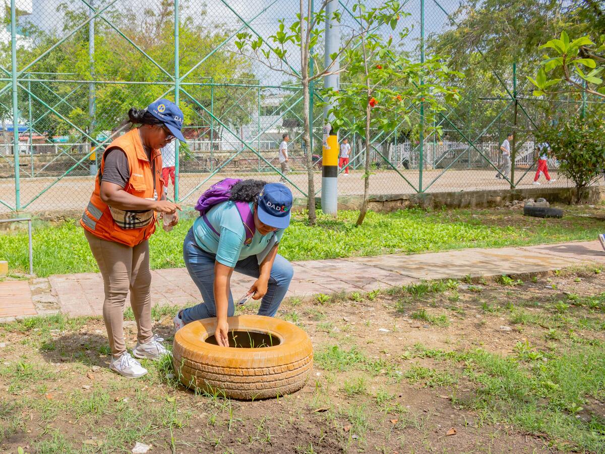 Cartagena sigue bajando las cifras en casos de dengue