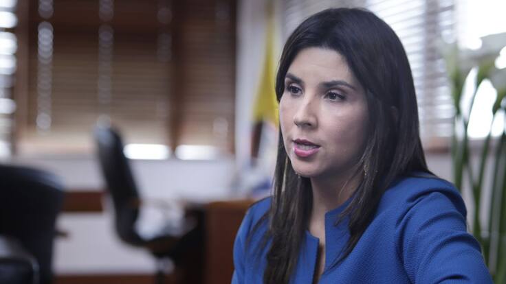 MinEducación: "Padres no están obligados a enviar a sus hijos al colegio"