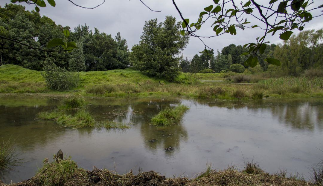 Reserva Thomas van der Hammen