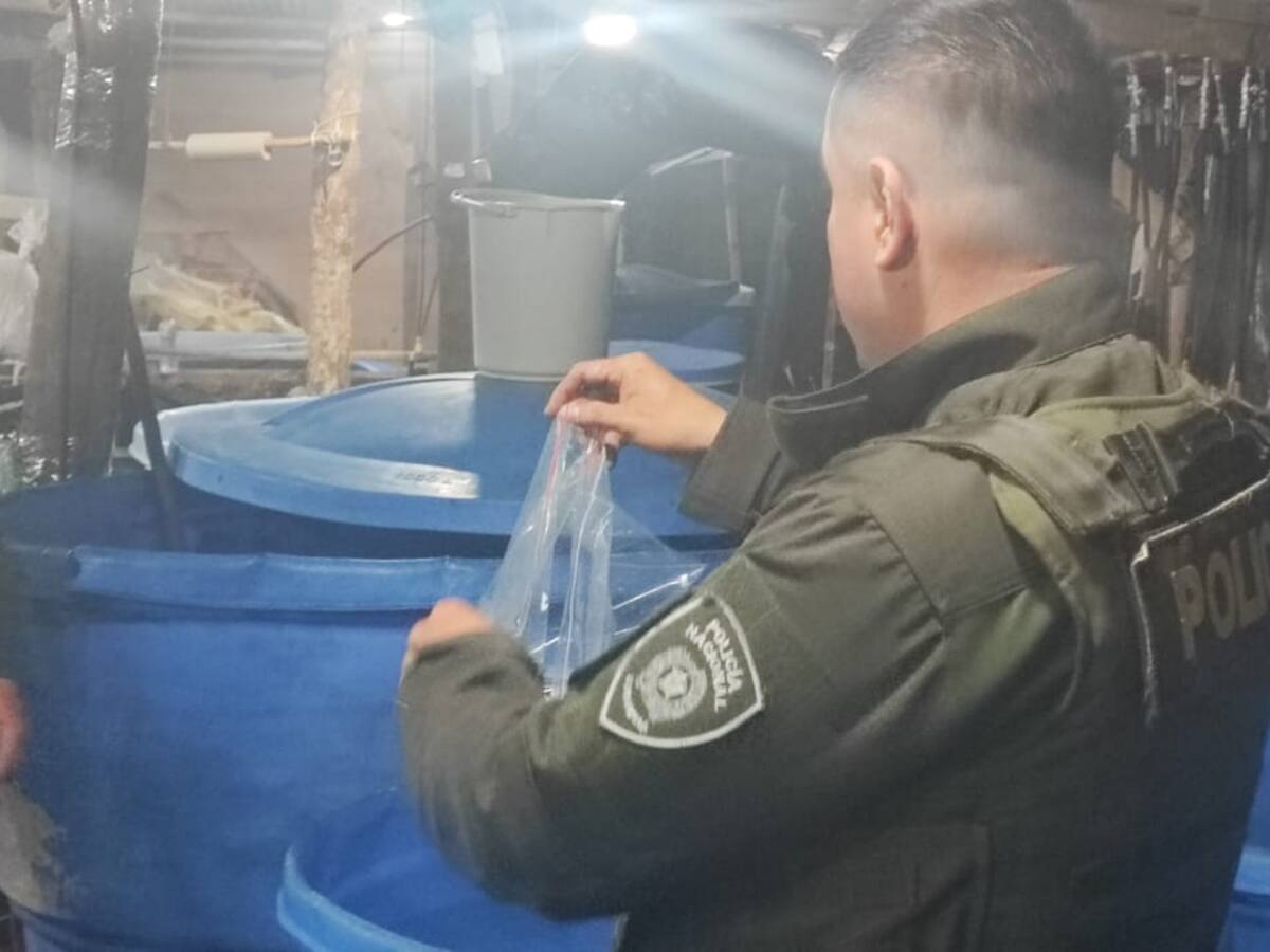 Destruyen laboratorio de cocaína en Nariño, producía más de dos toneladas de estupefacientes al mes