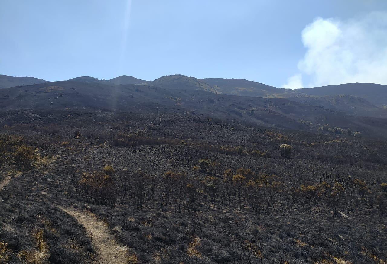 Incendio en páramos Las Alfombras, Boyacá / Cortesía: Bomberos Aquitania.