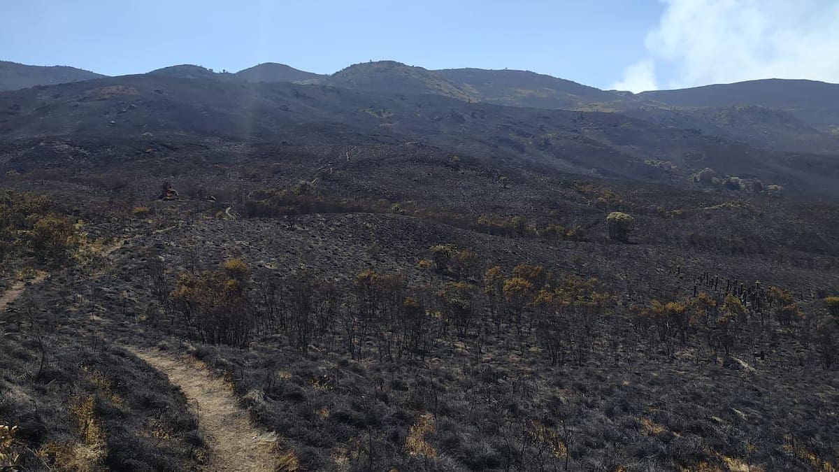 Apagan incendio en páramo de Boyacá: dejó más de 2000 hectáreas afectadas
