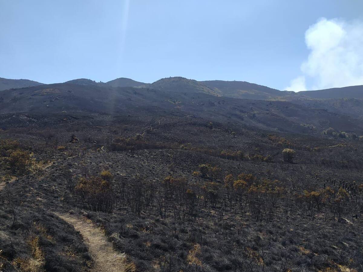 Apagan incendio en páramo de Boyacá: dejó más de 2000 hectáreas afectadas