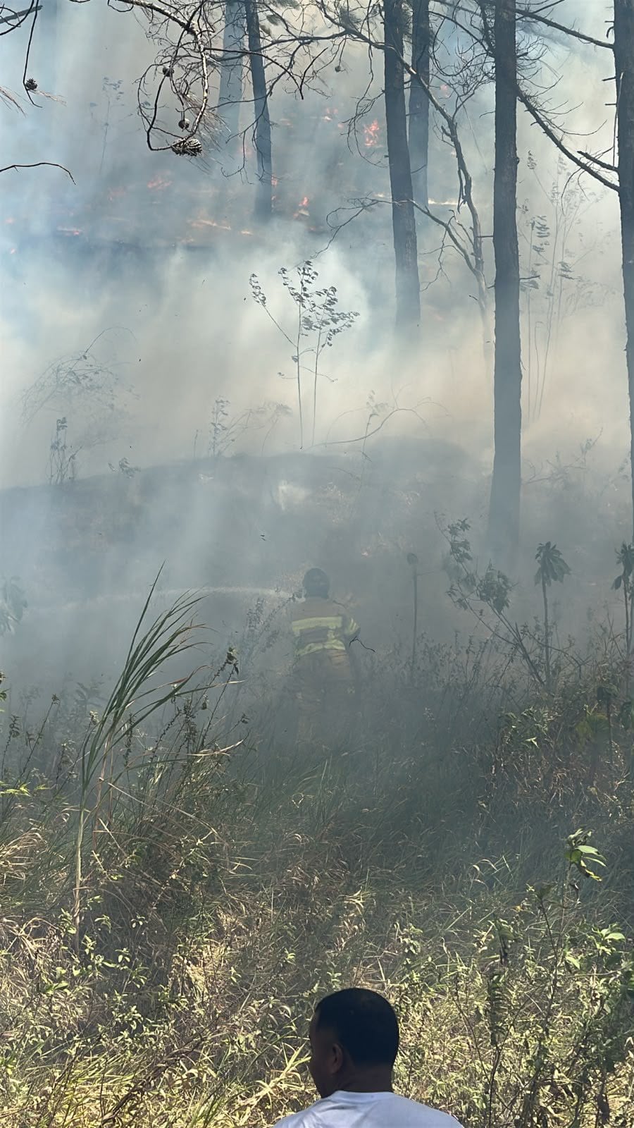 Incendio forestal presentado en Bello, Antioquia. Foto: Cortesía